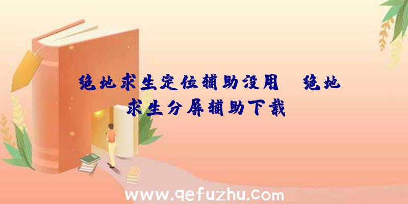 「绝地求生定位辅助没用」|绝地求生分屏辅助下载